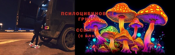 мдпв Вязьма