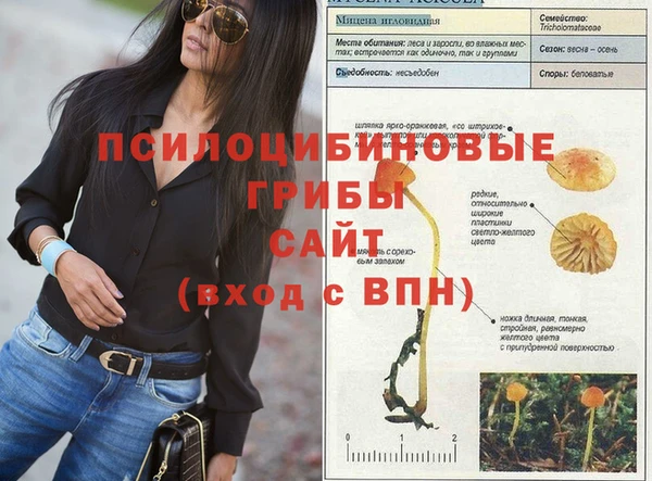 мдпв Вязьма