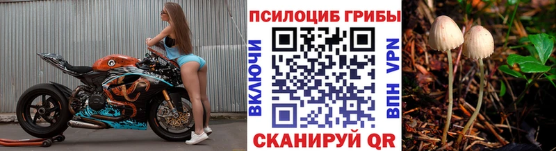 Купить где  Борзя  Галлюциногенные грибы GOLDEN TEACHER 